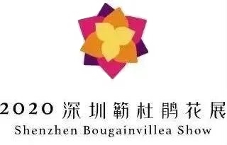 2020深圳簕杜鹃花展